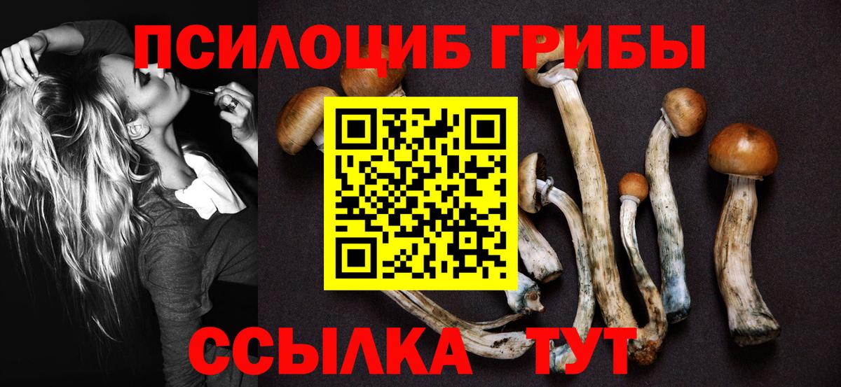 Галлюциногенные грибы мухоморы Сланцы