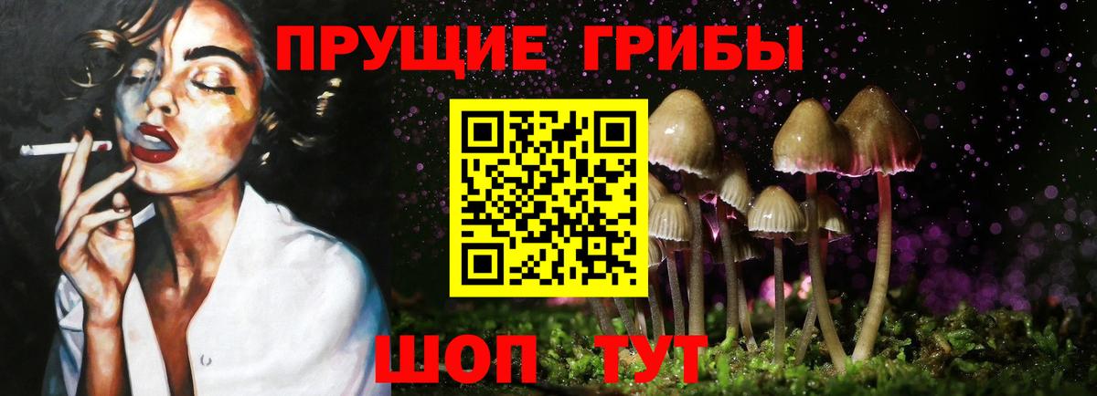 Псилоцибиновые грибы ЛСД  Вход с VPN  Сланцы 